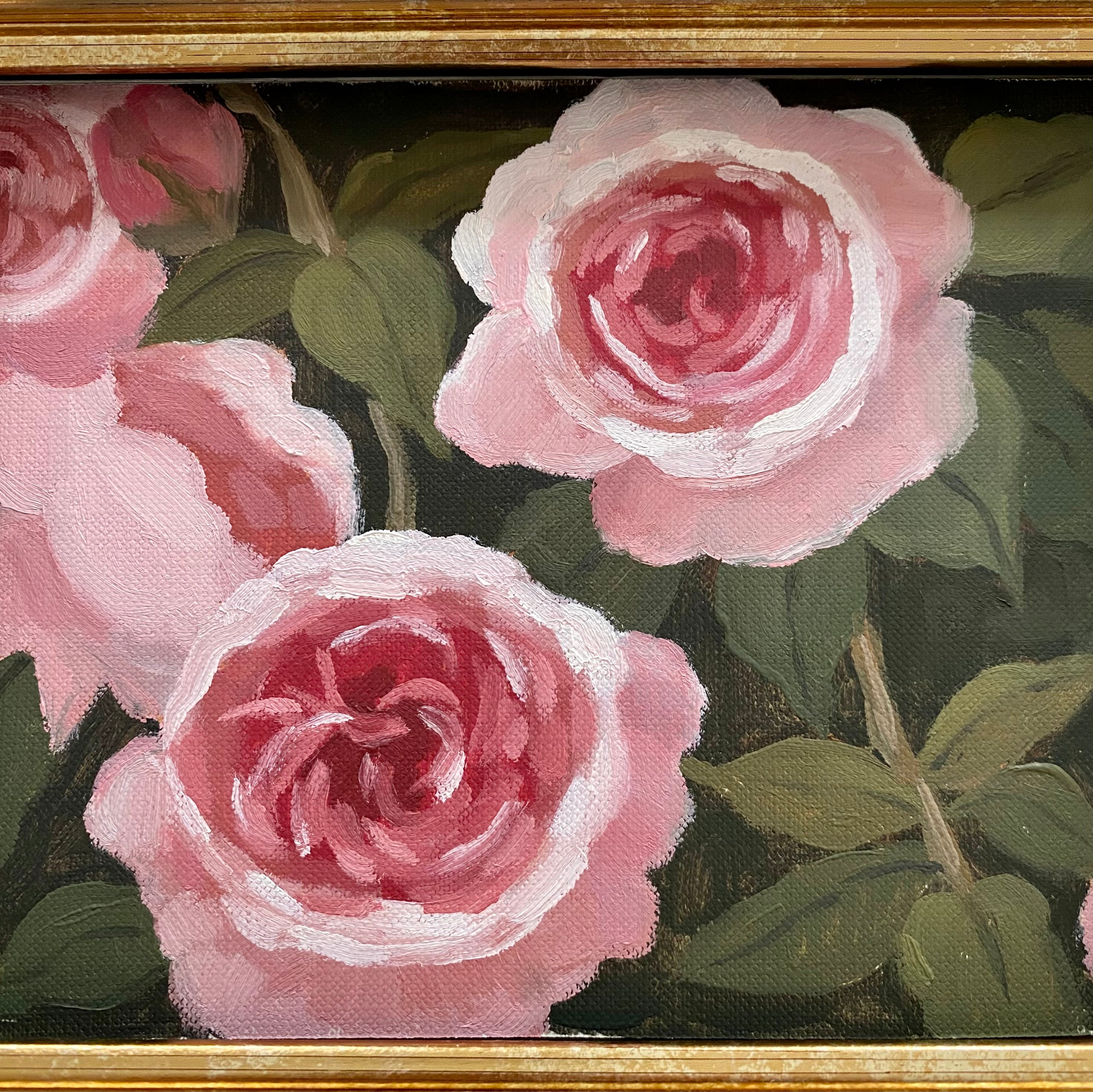 Pink Roses